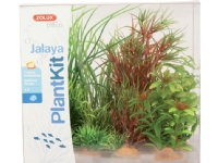 Zolux Plant decoration PlantKit Jalaya model 4 (352148) von ZOLUX