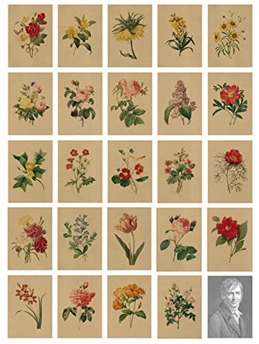 24 Postkarten,Vintage Postkarten,Postkarten Blumen Vintage, Postkarten Set,Kraftpapier Postkarte mit Schöner Blumensprache Gedruckt auf Kraftpapier von ZPPLD