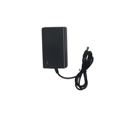 12,6 V, 14,4 V, 16,8 V, 18 V, 21 V, 25,2 V, 2 A, Handbohrmaschine, Lithium-Batterie-Ladegerät, elektrischer Schraubendreher(21V-1A - Cord 1 Meter -Regular) von ZTOSZSPT