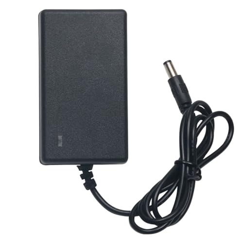 21V 2A Ladegerät 5 Saiten 18650 Lithium-Akku Elektroschrauber Winkelschleifer Werkzeug Lithium-Bohrmaschine Pistolenbohrmaschine 20V 1A(21V-1A+5.5 pin - 2 Meters -Ordinary) von ZTOSZSPT