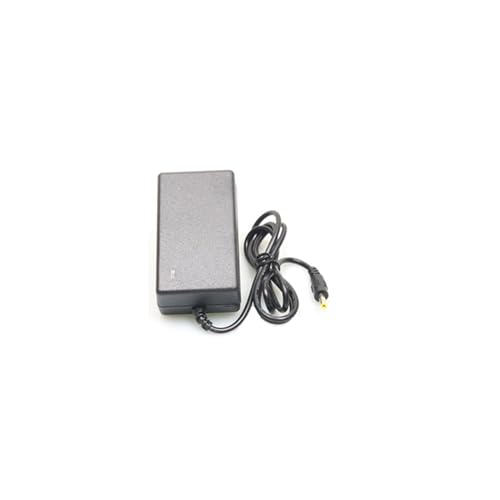 8,4V 7,4V 2A Lithium-Akku-Ladekabel Zwei Saiten 18650 Polymer-Fingerabdruck-Schloss-Gegensprechanlage(8.4V-2A+3.5 * 1.350 Cable+1 Meter) von ZTOSZSPT