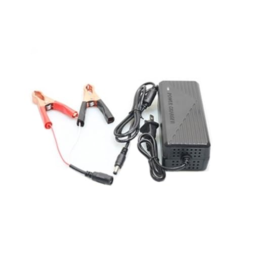 ZTOSZSPT 14,6 V 5 A 10 A Lithium-Eisenphosphat-Akku-Ladegerät 3,2 V viersträngiger 12,8 V Lithium-Eisen-12-V-Power-Akku 6 A(14.6V-6A -with Fan+5.5 Head+Clips) von ZTOSZSPT