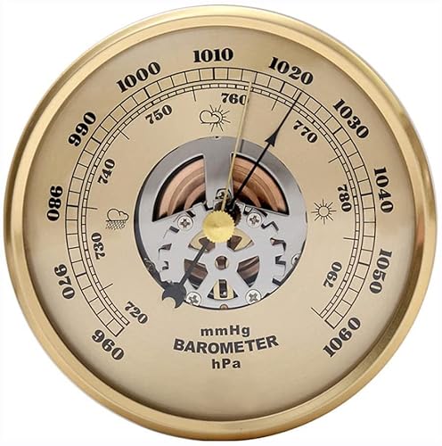 Traditionelle Wetterstation, analoges Wetterbarometer, 108-mm-Angelbarometer, Skelett-Perspektivbarometer von ZTZTZ