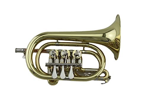 Messing Rohrkörper Lackierter Gold B-Flach Messing Windinstrument Rotary Ventil Trompete Palm Horn Cornet von ZUOMU