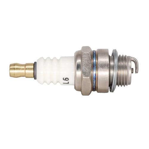 L6 Zündkerze BM6A L7T BPMR7A RCJ6Y RCJ7Y WSR5F TS400 TS410 TS420 TS460 (2 Stück mit Box) von ZVGTFHIX