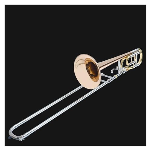 Posaune Tenorposaune B-Dur Professionelles Instrument für Erwachsene geeignet von ZXFJYUIP