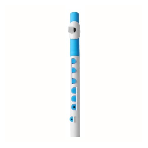 Querflöten Piccolo-Übungsflöte-Musikinstrument(Blue) von ZXFJYUIP
