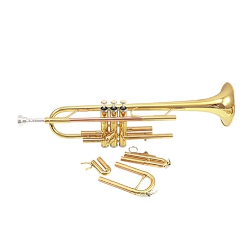 Trompete Anfänger Erwachsene Leistung B-Trompete Instrument Blechblasinstrument von ZXFJYUIP