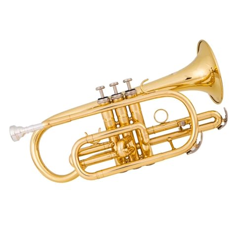 Trompete B-Kornett Instrument Mini-Trompete professionelle Anfänger Leistung von ZXFJYUIP