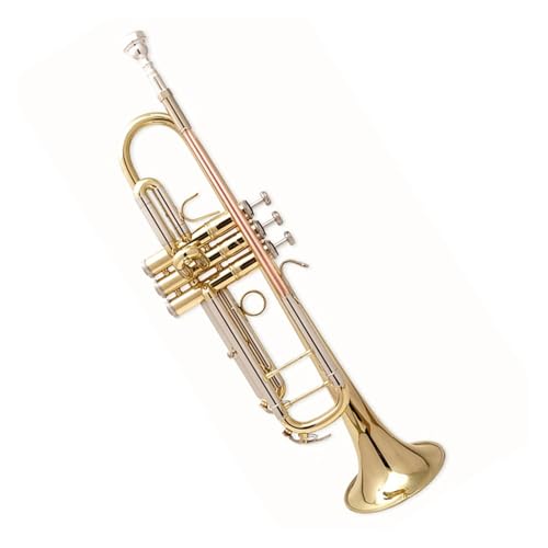 Trompete B-Trompete Anfänger Performance professionelles Blechblasinstrument Trompete B-Trompete Anfänger Performance professionelles Blechblasinstrument von ZXFJYUIP