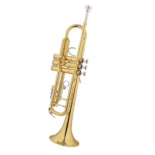 Trompete B-Trompete Blechblasinstrument Anfänger Auftritt von ZXFJYUIP