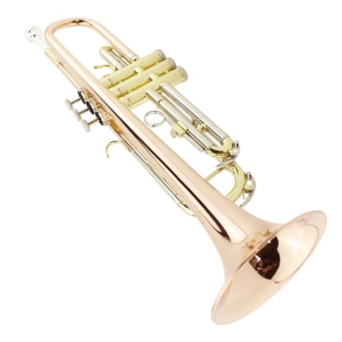Trompete B-Trompete Instrument geeignet für Erwachsene professionelle Aufführung Trompete B-Trompete Instrument geeignet für Erwachsene professionelle Aufführung von ZXFJYUIP