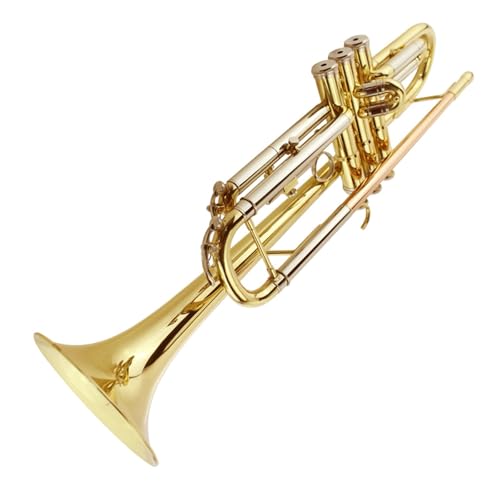 Trompete B-Trompete Instrument geeignet für professionelle Auftrittsanfänger von ZXFJYUIP