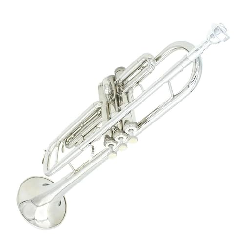 Trompete B-Trompete professionelles Blechblasinstrument für Anfänger von ZXFJYUIP