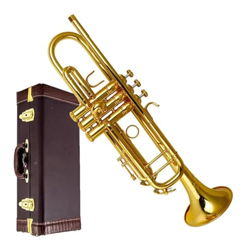 Trompete Professionelle Trompete für erwachsene Anfänger Musikinstrumente Trompete Professionelle Trompete für erwachsene Anfänger Musikinstrumente von ZXFJYUIP