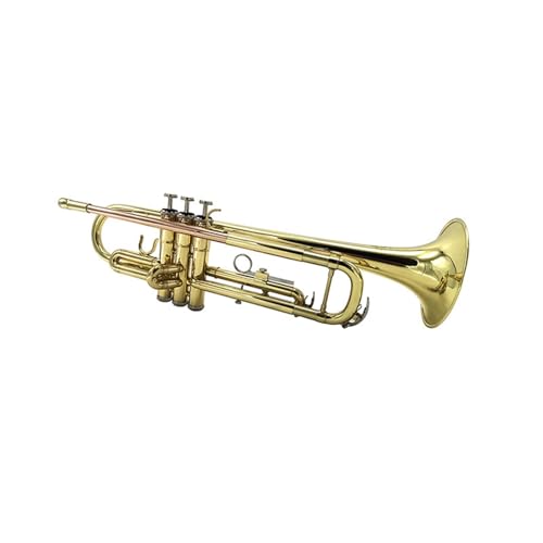 Trompete Professionelle Trompete geeignet für erwachsene Anfänger für Üben Trompete Professionelle Trompete geeignet für erwachsene Anfänger für Üben von ZXFJYUIP