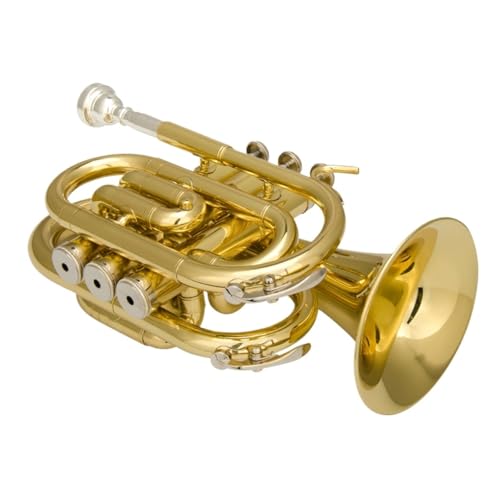 Trompete Tragbares B-Trompeten-Minikornett-Blechblasinstrument von ZXFJYUIP