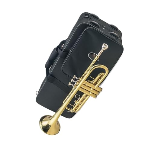 Trompete Trompeteninstrument B-Dur Anfängerinstrument für Erwachsene von ZXFJYUIP