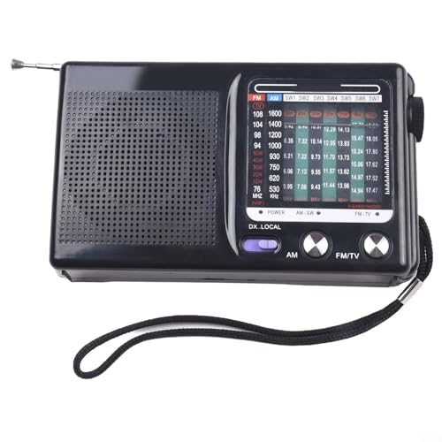 Tragbares AM-FM-Radio, HiFi-Vollwellen-Lautsprecher, mit Teleskopantenne, Dualband-Empfang, für Reisen, Wandern, Camping von ZYWUOY