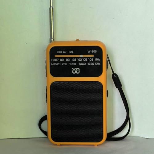 Tragbares wiederaufladbares Radio, kompakte FM/AM-Überlebensausrüstung für Outdoor-Abenteuer, eingebaute Taschenlampe, Dual-Mode-Stromsystem (orange) von ZYWUOY