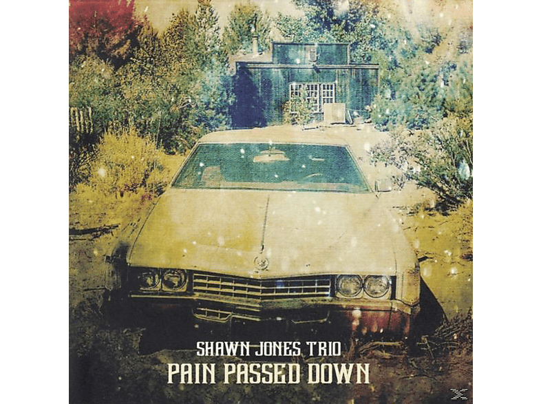 Shawn Jones Trio - Pain Passed Down (CD) von ZYX/PEPPER