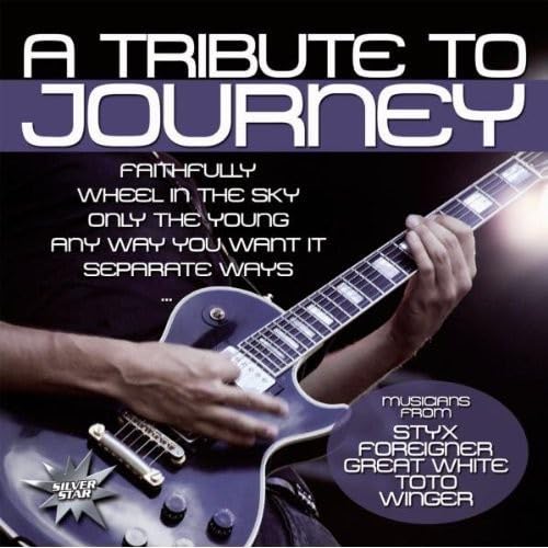 A Tribute to Journey A Tribute to Journey von ZYX Music