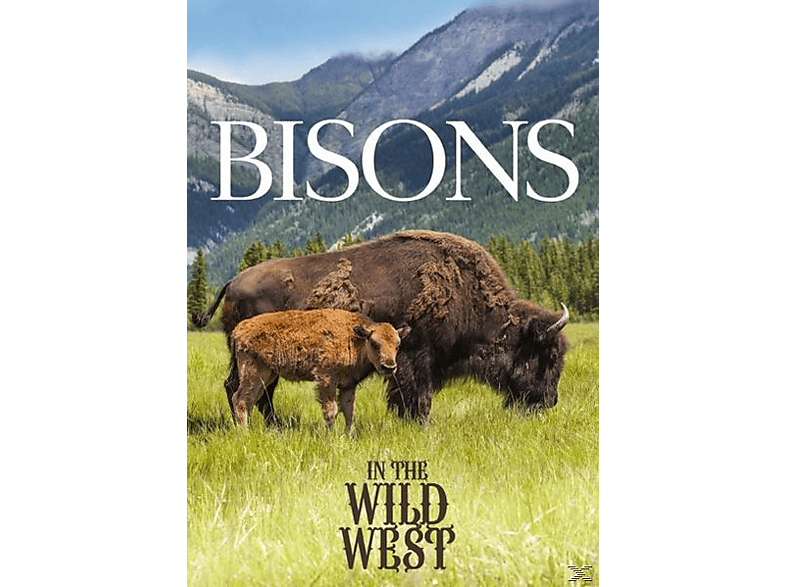 Bisons Im Wilden Westen DVD Bisons Im Wilden Westen DVD von ZYX