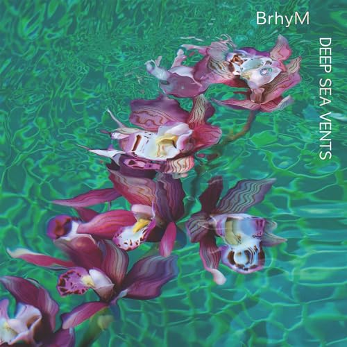 Deep Sea Vents [Vinyl LP] von Thirty Tigers