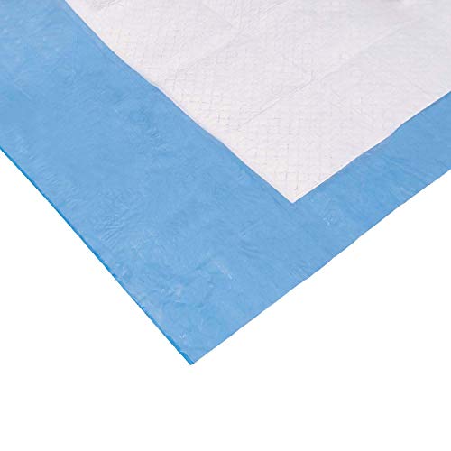 Zarys BT-PC100225 BETAtex Saugfähige Unterlage, Nicht Steril, 100cm Länge, 225cm Breite, Weiß Blau, 10 Stück Zarys BT-PC100225 BETAtex Saugfähige Unterlage, Nicht Steril, 100cm Länge, 225cm Breite, Weiß Blau, 10 Stück von Zarys