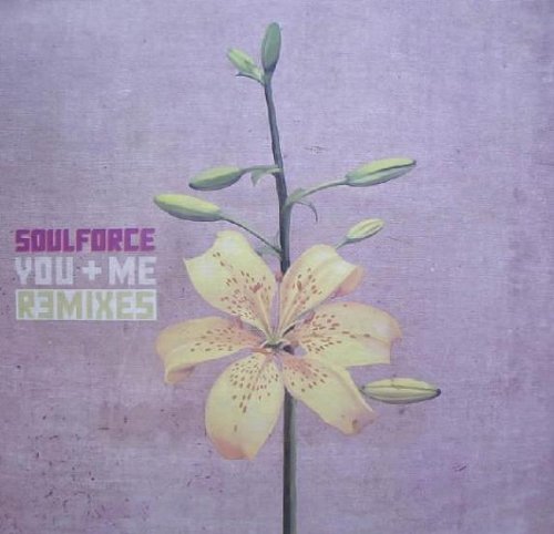 You + me (Remixes, 2001, incl. Lost 'n' Alive CL Winner Remix) [Vinyl Single] von Zeitgeist