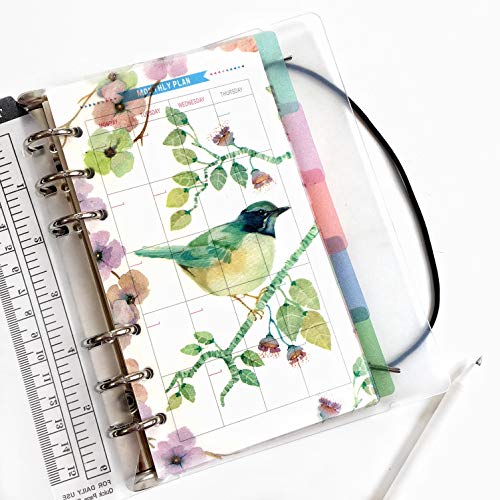 21,6 cm/15,2 cm Kunststoff A5/A6 6-holes Cover rund Ring View Binder Datei Ordner für lose Leaf Tabelle Protectors Binder/Schutzhülle Displayschutzfolie (Divider Brid, A6/17cm*10cm/6 Inch) von Zelten