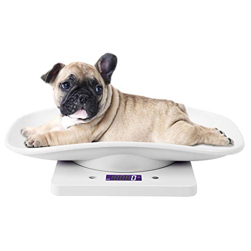 Digitale Tierwaage, Pet Weight Scale 10kg/1g Digitale kleine Katzen Hunde Messwerkzeug Elektronische Küchenwaage für Kleinkinder Small Puppy Cat Dog von Zerodis