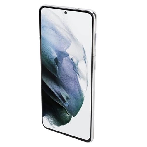 Telefonersatzbildschirm für Plus 5G, LCD -Display -Montage mit Reparaturwerkzeugkit, Einfache Installation Zur Korrektur von Anzeigeproblemen, Kompatibel mit SM G996B EU Version (Silver) von Zerodis