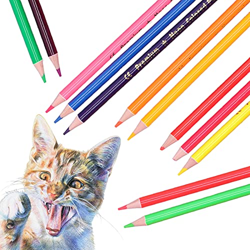Zerodis 12-teiliges Buntstiftset, Metallic Fluorescent Professional Coloring Pencil Art Buntstifte Skizze Graffiti Malzubehör für Erwachsene und Kinder(Neonfarbstifte) von Zerodis
