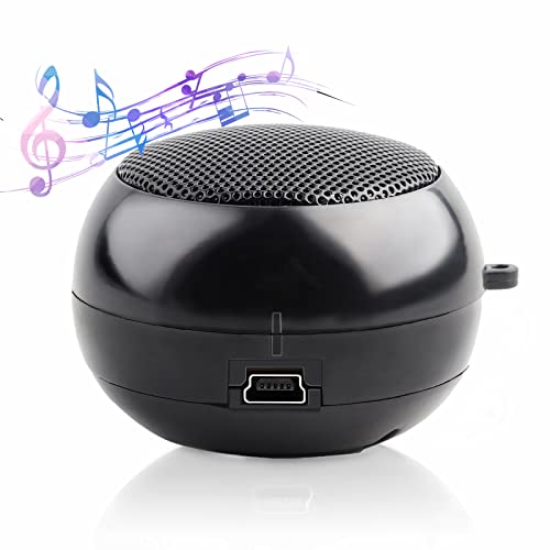 Zerone WLAN Lautsprecher, Tragbare Reise Lautsprecher mit 3,5mm Aux Audio Klinkenstecker Klarem Bass Eingebaute Batterie für Smartphone, und Computer von Zerone
