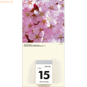 Zettler Kalenderrückwand 14,5x30cm für Typ 301 / 302 Blumen sortiert von Zettler