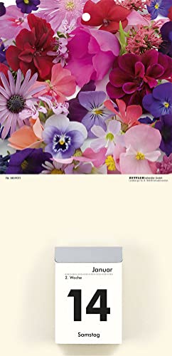 Zettler Kalenderrückwand Motiv 14.5x29.5 Blumen von Zettler