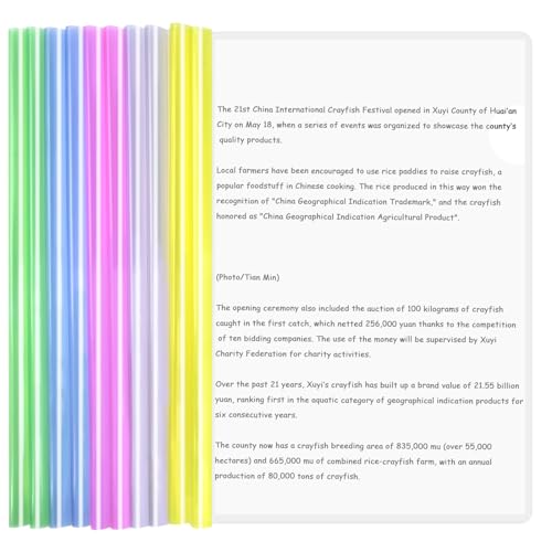 Zimoer 10 Stück A4 Sliding Bar Binder, Transparente Bericht Abdeckungen mit Schiebe Bar, Plastik Datei Ordner Schiebe Ordner Projekt Abdeckungen Ordnerhüllen für Schule Büro Dokumente Klassifizierung von Zimoer