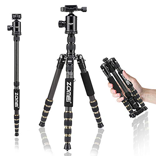 ZOMEI Z699C Tragbares Stativ aus Kohlefaser mit Kugelkopf, kompakt, für Canon, Sony, Nikon, Samsung, Panasonic, Olympus, Kodak, Fuji, Kameras und Videokamera ZOMEI Z699C Tragbares Stativ aus Kohlefaser mit Kugelkopf, kompakt, für Canon, Sony, Nikon, Samsung, Panasonic, Olympus, Kodak, Fuji, Kameras und Videokamera von ZoMei