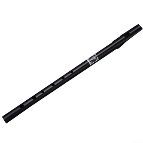 Zoegneer Klassische irische Pfeife, 6 Löcher, CD-Schlüssel, Dose, Penny-Flöte, traditionell für Pfeifenliebhaber (C) von Zoegneer