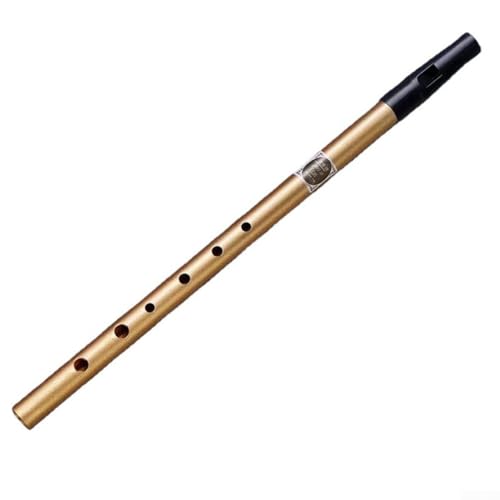 Zoegneer Klassische irische Pfeife mit 6 Löchern, CD-Schlüssel, Dose, Penny-Flöte, traditionelle Holzblasinstrumente für Pfeifenliebhaber (D) von Zoegneer