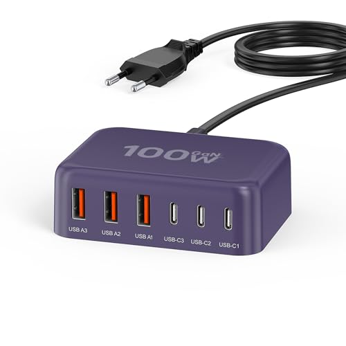 100W 6-Port Adapter USB C Ladegerät, Lila von Zomvan