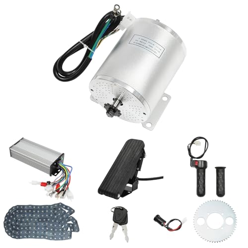 72V 3000W Elektromotor,Elektrischer Bürstenloser Motor Kit mit Controller und Fußbeschleuniger, für Elektroroller,E-Scooter, Dirt Bikes, Go-Karts,E-Fahrradmotor Go Kart Umrüstsatz von Zoobotanica