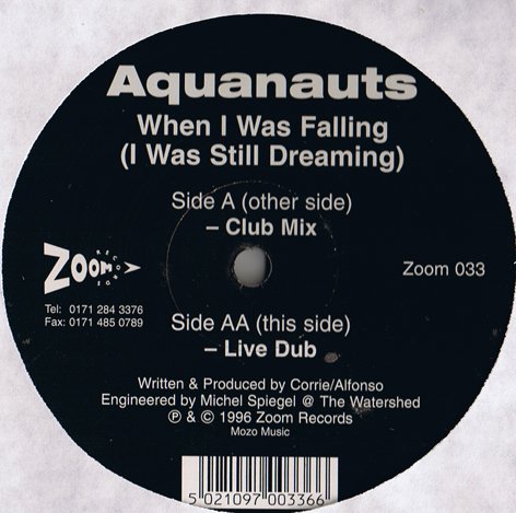 When I Was Falling [12 [Vinyl Single] von Zoom