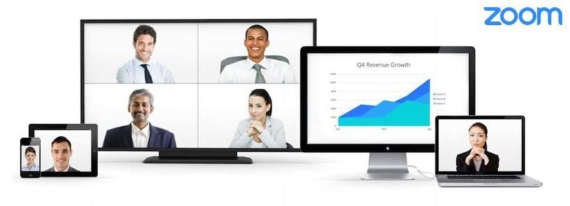 Zoom Meetings Pro - Lizenz 1 Jahr (mind. 5 Stück) User Staffel: 500-999 von Zoom