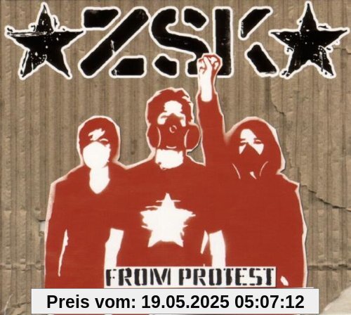 From Protest to Resistance From Protest to Resistance von Zsk
