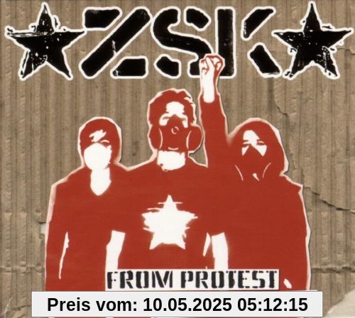 From Protest to Resistance von Zsk
