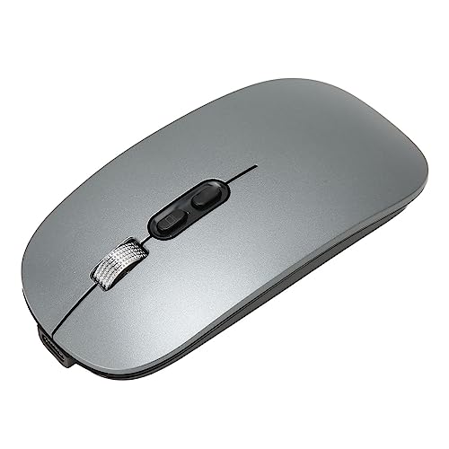 Kabellose Maus, 2,4 GHz mit USB Empfänger, 3 DPI Typ C Aufladung, Leise Bluetooth Maus mit Buntem Licht, für PC, Notebook, Laptop (Dunkelgrau) von Zunate