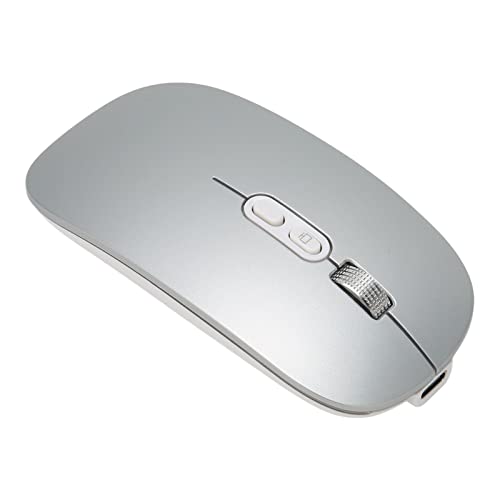 Kabellose Maus, 2,4 GHz mit USB Empfänger, 3 DPI Typ C Aufladung, Leise Bluetooth Maus mit Buntem Licht, für PC, Notebook, Laptop (Silber grau) von Zunate