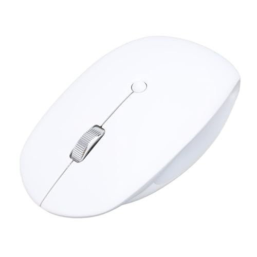 Zunate Drahtlose Maus, 2,4 G Ergonomische Optische Maus mit RGB-Licht, 4 DPI Einstellbare Tragbare Computermäuse für Gaming-Büro (White) von Zunate